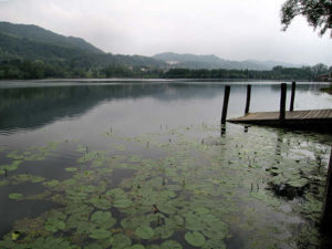 Lago - calma